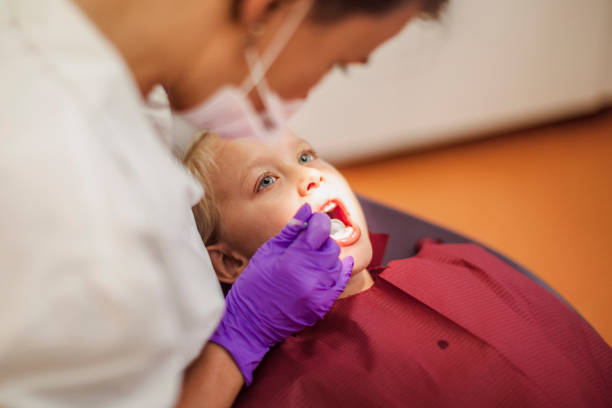 Best Emergency Dental Care for Broken or Chipped Teeth in Shingletown, CA
